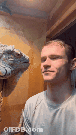 Man Looking At Lizard On Shoulder GIF