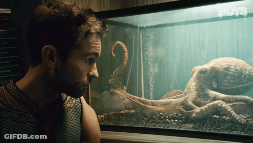 Man Looking At Octopus In Boys Tank GIF