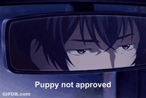 Man Looking In Rear View Mirror Puppy Not Approved GIF