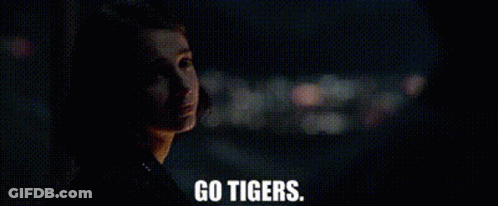 Man Looking Out Window At Night Go Tigers GIF