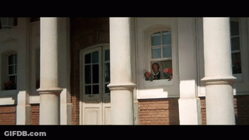 Man Looking Out Window With Flowers GIF