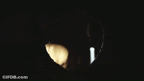 Man Looking Through Hole GIF
