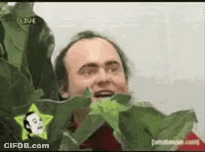 Man Lurking Behind The Plant GIF