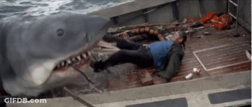 Man Lying On Boat Deck Shark Approaching GIF