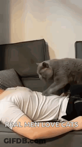 Man Lying On Couch With Cat Playing GIF