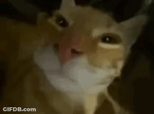Man Lying On Floor Next To Standing Man It Was Glorious GIF