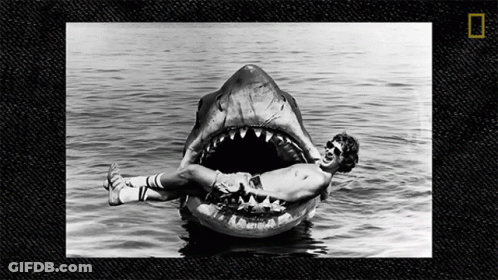 Man Lying On Shark Float In Ocean GIF