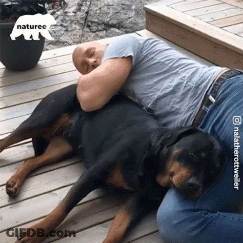 Man Lying On Wooden Deck With Dog And Naturee Logo GIF