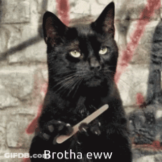 Man Making Funny Face On Zebra Print Couch GIF