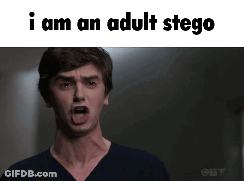 Man Making Funny Face Saying I Am An Adult Stego GIF