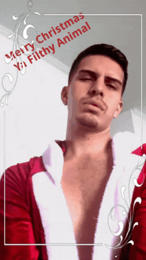 Man Merry Christmas You Filthy Animal GIF