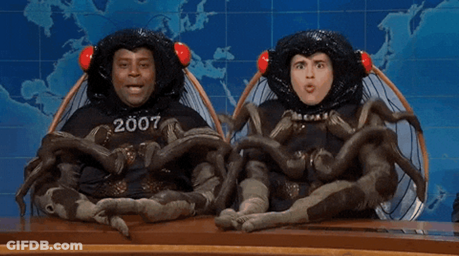 Man Mosquito Costume GIF