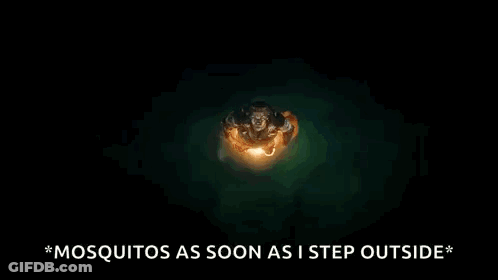 Man Mosquitos As Soon As I Step Outside GIF