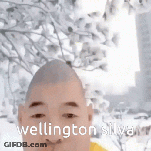 Man Named Wellington Silva GIF