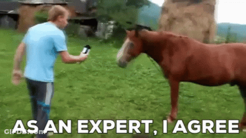 Man Next To Horse Holding Microphone GIF