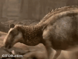 Man Next To Horse Saying True GIF