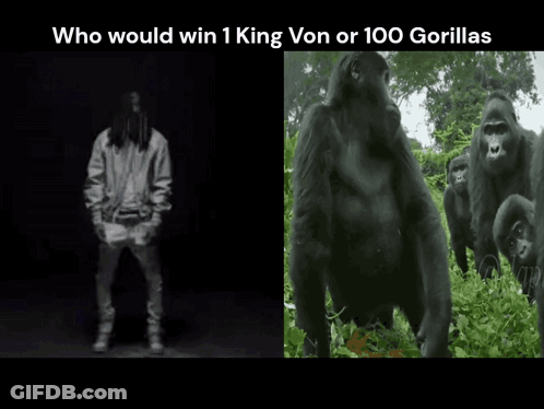 Man Next To Picture Of Gorillas GIF