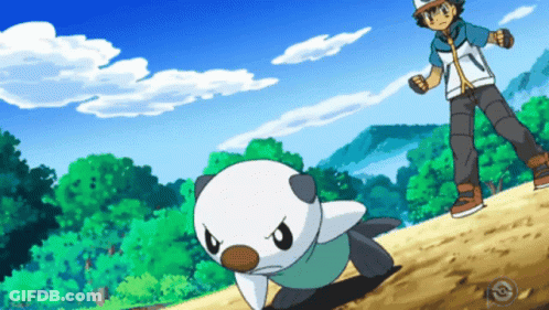 Man Next To Small White Animal GIF