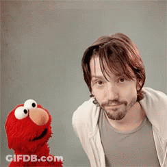 Man Next To Stuffed Elmo GIF
