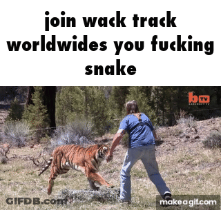 Man Next To Tiger Saying Join Wack Track Worldwides You Fucking Snake GIF