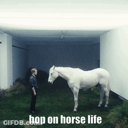 Man Next To White Horse Hop On Horse Life GIF