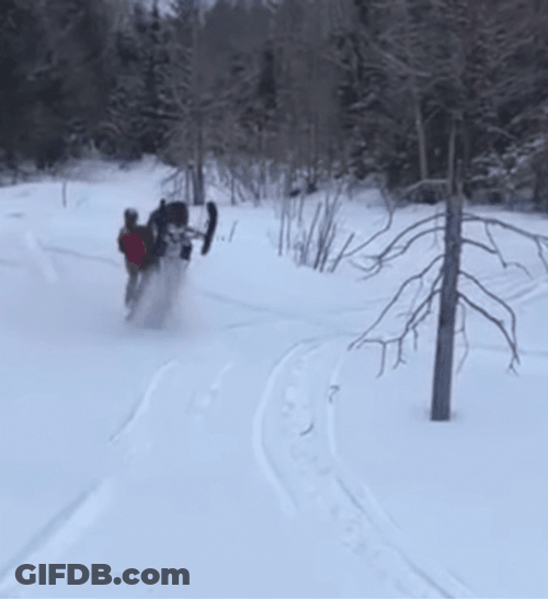 Man On A Snowmobile Crashing To A Tree GIF