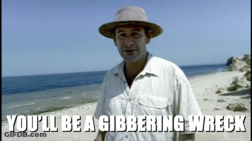Man On Beach Saying You'll Be A Gibbering Wreck GIF