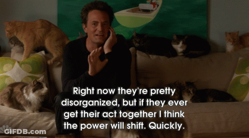 Man On Couch Talking On Phone With Cats Behind GIF