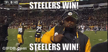 Man On Football Field Says Steelers Win GIF