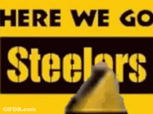 Man On Football Field Says Steelers Win GIF