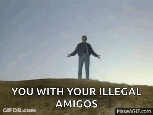 Man On Hill With Arms Outstretched Saying You With Your Illegal Amigos GIF