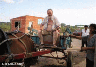 Man On Horse-Drawn Carriage GIF