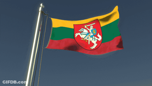 Man On Horse Holding Sword Flag Waving GIF