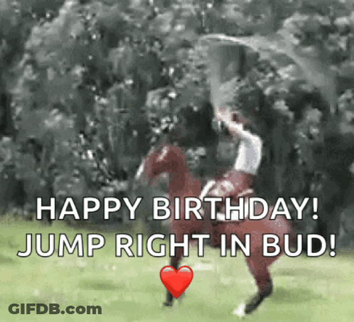 Man On Horse Jumping Happy Birthday Jump Right In Bud GIF
