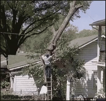 Man On Ladder Climbing Tree In Front Of House GIF