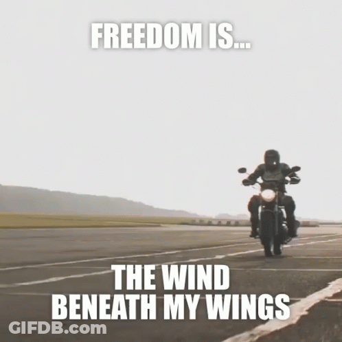 Man On Motorcycle Freedom Is The Wind Beneath My Wings GIF