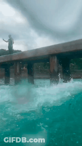 Man On Pier Overlooking Ocean GIF