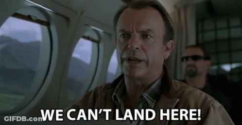 Man On Plane Says We Can't Land Here GIF