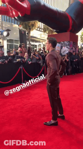 Man On Red Carpet Next To Zegnaofficial Sign GIF