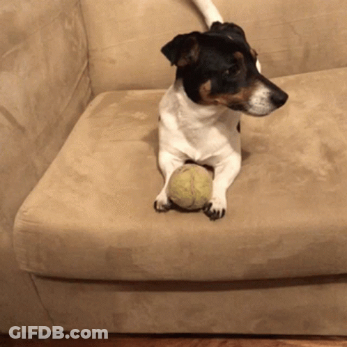 Man On Red Tennis Court Holding Racket GIF