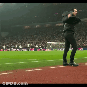 Man On Soccer Field In Front Of Crowd And Wings Sign GIF
