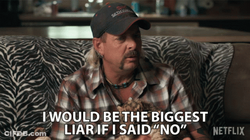 Man On Zebra Print Couch Says I Would Be The Biggest Liar If I Said No GIF