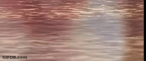 Man Paddling Red Kayak In Water GIF