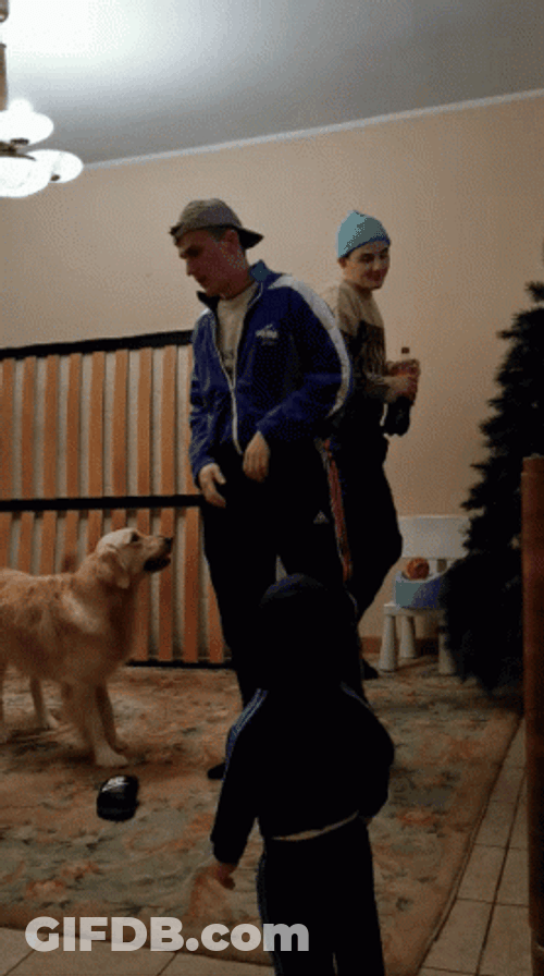 Man Pass Out Near Dog GIF