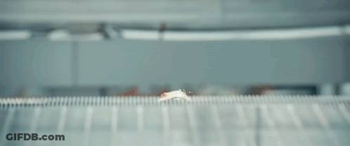 Man Peeking From Behind Fence GIF