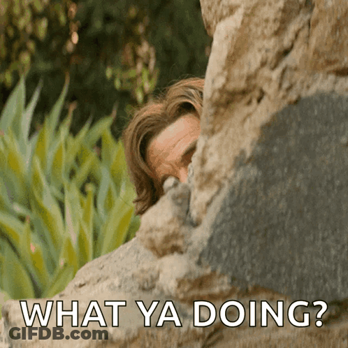 Man Peeking From Behind Rock Saying What Ya Doing GIF