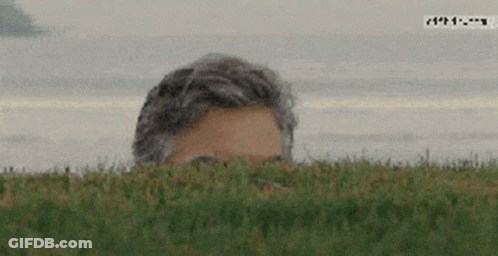 Man Peeking Out Of Grass Field GIF
