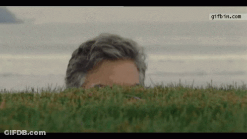 Man Peeking Out Of Grass With Gifbin.com GIF