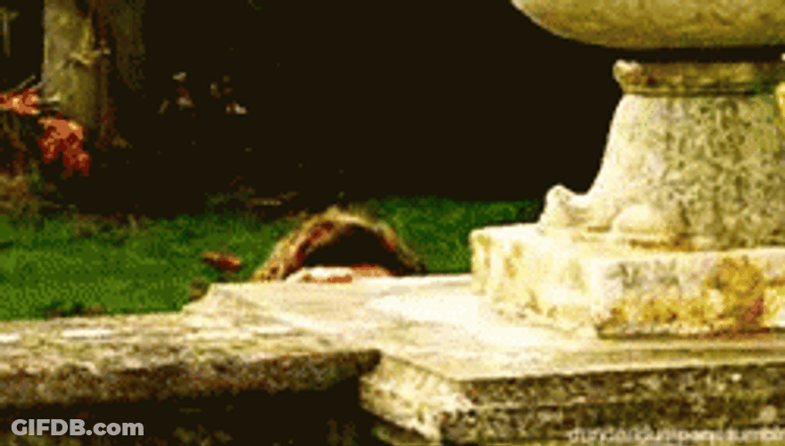 Man Peeking Over Walls GIF