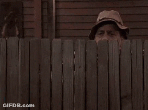 Man Peeking Over Wooden Fence Wearing Hat GIF